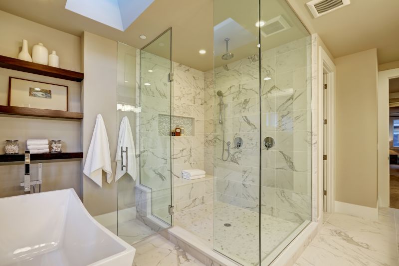 Modern Shower Enclosure